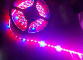 LED���l/����ֲ�����L��ϵ��